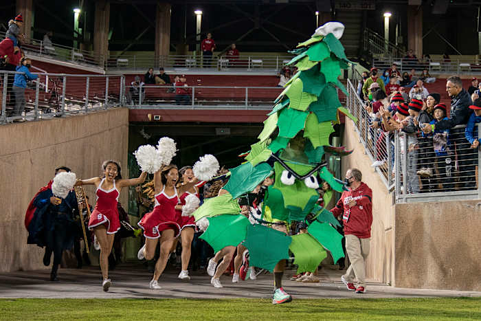 Stanford, California, USA; The Stanford Cardinal Tree and band run out onto the field before a game against the Washington Huskies at Stanford Stadium.